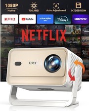 Compatible with Netflix Smart